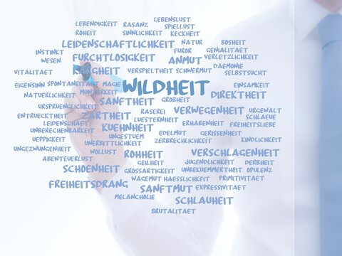 Wildheit