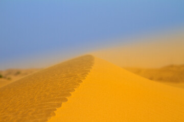 Sand dunes in the desert near Dubai, UAE