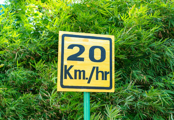 Speed limit sign on a background of green trees