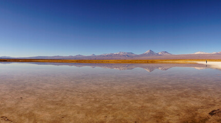 View of Laguna Cejar in the Atacama Desert, Antofagasta, Chile