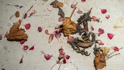 white, dirty surface on which dry fallen leaves and plant seeds have fallen.