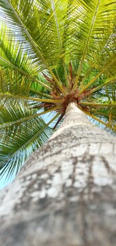 Tropical, Parque Nacional Morrocoy (Playa TUCACA)