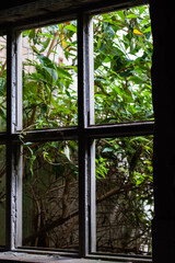 Old Broken Window in old industrial building