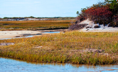Marsh on Cape Cod, MA