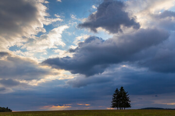 Landscape at sunset in Slavkovsky les near Horni Slavkov, Western Bohemia, Czech Republic