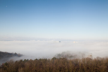 Trees with roofs of several buildings in the fog with blue sky