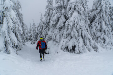 Fototapeta na wymiar Man walking in beautiful winter landscape.