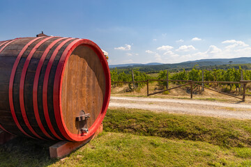 Wine barrel in vineyard, Tuscany, Italy