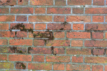 Naklejka premium Old red brick wall covered with green moss. Vintage stone background