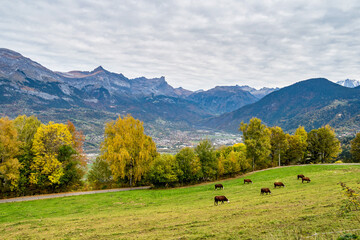 Fototapeta na wymiar French Alps in autumn. Road near Megeve, France, Europe. The mountains of Haute Savoie near Chamonix-Mont-Blanc