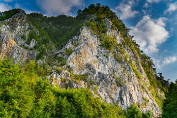 Tara mountain in Serbia