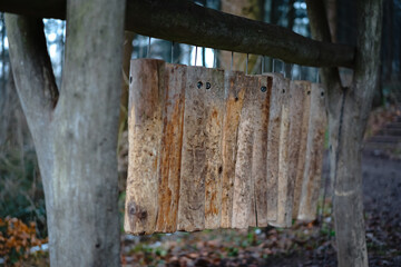 Black Forest Winter Walk