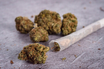 joint ready to be smoked and dried weed, how to make a joint, kit to roll a joint, dried hemp, weed to smoke