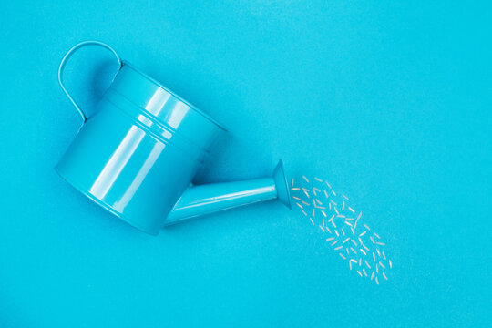 Regadera azul cayendo agua sobre un fondo azul liso y aislado. Vista superior. Copy space