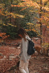 One person walking throw an atumn forest with a dog in Yosemite Park