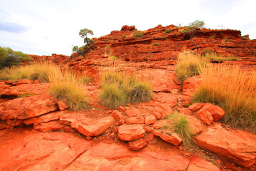 Kings Canyon in the red centre of Australia