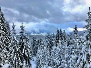 Ukraine, Bukovel. Carpathian mountains covered with snow and seen from above