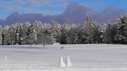 Zwei Langläufer/innen auf Tour in schneebedeckter Landschaft