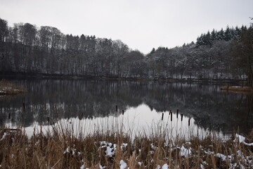 spiegelglattes Holzmaar im Winter