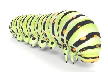 3D Illustration of a Caterpillar