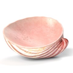 3D Illustration of a Seashell