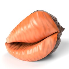 3D Illustration of a Seashell