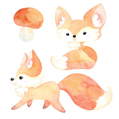 Fototapeta premium Watercolor cartoon illustration. Autumn forest set. Lovely forest animals. Red fox, mushrooms. Isolated white background.