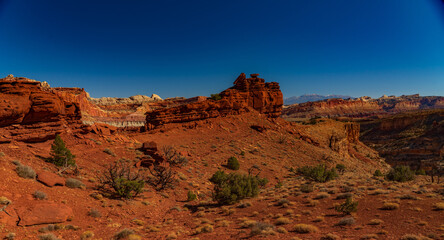 Multicolored Sandstone of Capital Reef National Park