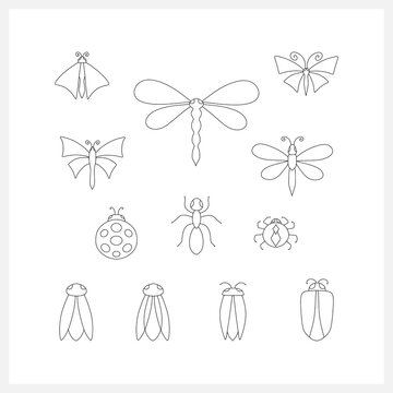 Doodle insect collection icon isolatednon white. Hand drawing line art. Sketch animal. Vector stock illustration. EPS 10