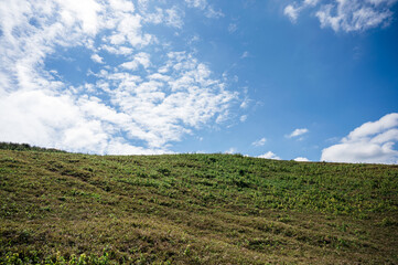 Fototapeta na wymiar Green agricultural hill and cloud in blue sky