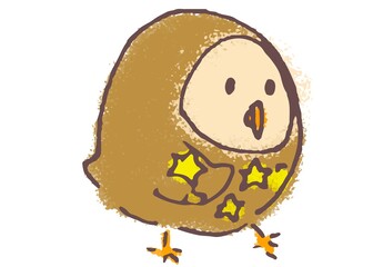 An owl printed stars