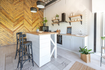 stylish kitchen interior design. white walls and wooden decoration. beautiful hammock and high windows.