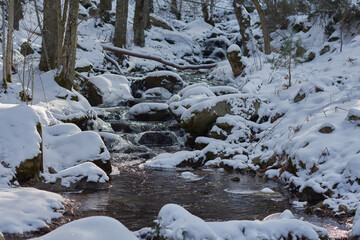 Fototapeta premium The snow-covered stream of Sestil del Maíllo in Puerto de Canencia. Sierra de Guadarrama National Park. Madrid's community. Spain