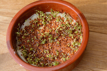 Cress Sprouts And Sprouts In A Bowl