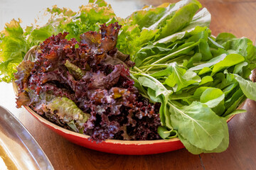 View of a bowl of Brazilian leaf salad