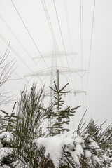 Stromleitung durch verschneiten Winterwald im Nebel