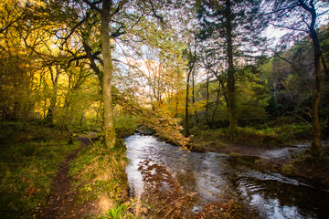 river in autumn