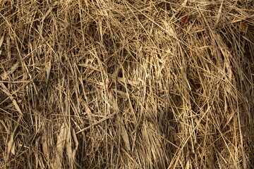 texture of straw