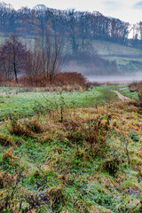 Dutch countryside with wild plants, slightly frozen grass and bare trees on a small hill with light fog, cold winter morning in Sweikhuizen, south Limburg, the Netherlands