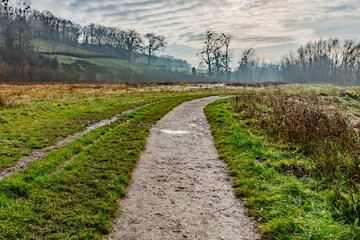 Obraz premium Path between green grass and wild plants on a cold morning with light mist, bare trees in the background, winter day with a sky covered with heavy clouds in Sweikhuizen, South Limburg, Netherlands