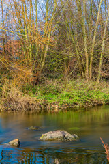 Stones in a stream with its calm flow with wild plants and bare trees in the background, sunny...