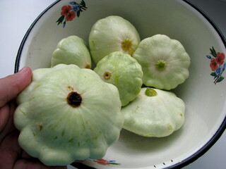 Vegetables the squash in an iron dish
