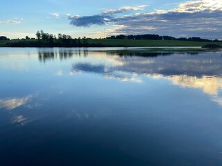 reflection of trees in water