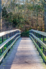 Fototapeta na wymiar Wooden footbridge in a nature reserve with wild plants and bare trees in the background, sunny winter day in Sweikhuizen, South Limburg, The Netherlands. Depth perspective