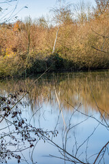 Small pond with reflection on the water surface seen through brown wild plants surrounding it, some...