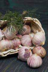 Garlic in an overturned wicker basket. Dill sprigs. On green pine boards. Close-up shot.