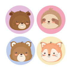 Kawaii animals cartoons icon collection design, Cute character and nature theme Vector illustration