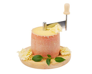 Head of cheese Tete de moine on Girolle isolated on white background