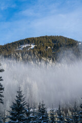 beautiful winter day on the mountains with fog, sun and hoarfrost on the trees