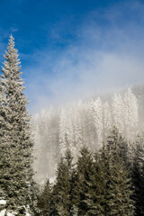 beautiful winter day on the mountains with fog, sun and hoarfrost on the trees